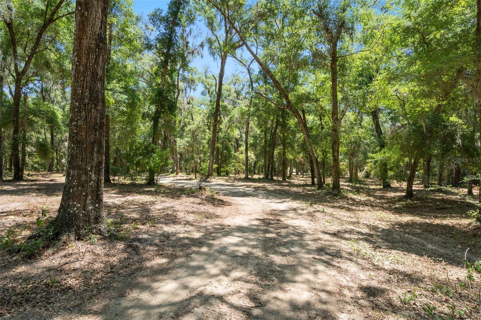 Listing photo id 0 for 11426 Pleasant Grove Road