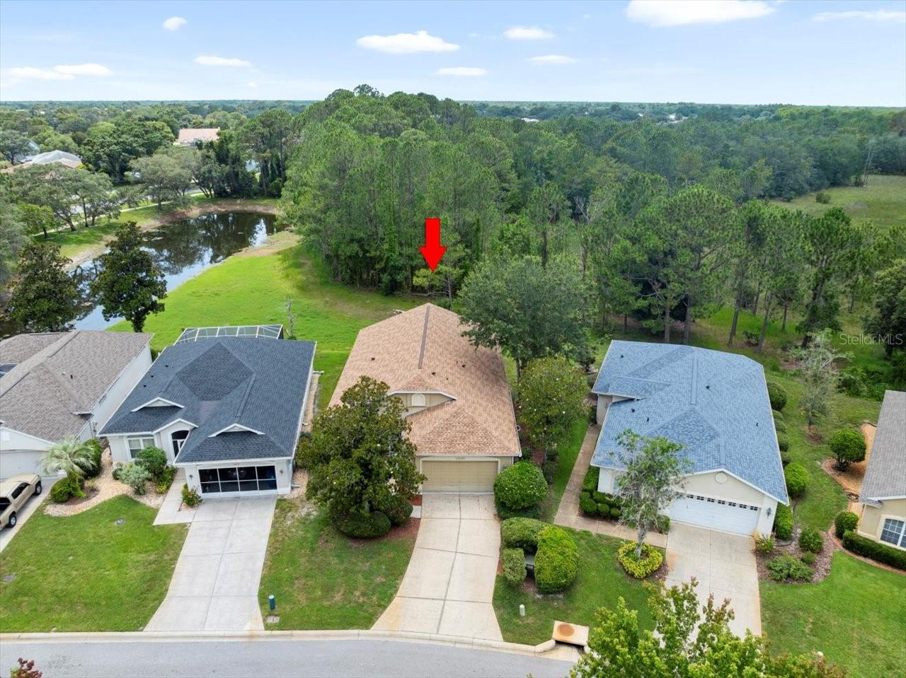 Details for 10097 Holly Berry Drive, WEEKI WACHEE, FL 34613