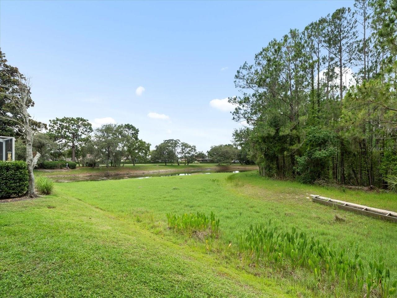 Image 40 of 54 For 10097 Holly Berry Drive
