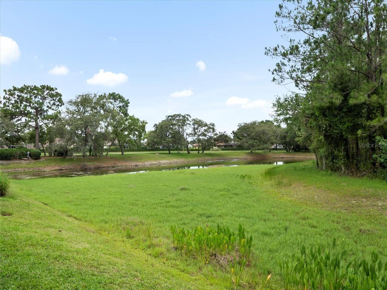 Image 41 of 54 For 10097 Holly Berry Drive