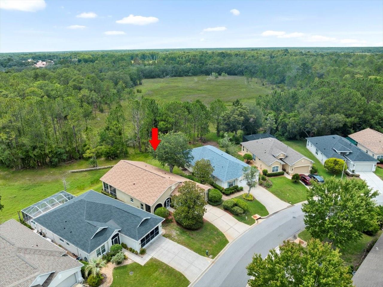 Image 43 of 54 For 10097 Holly Berry Drive
