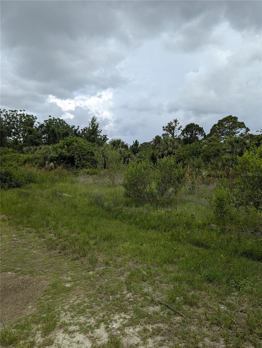 Details for 0 Rhodes Road, HUDSON, FL 34667