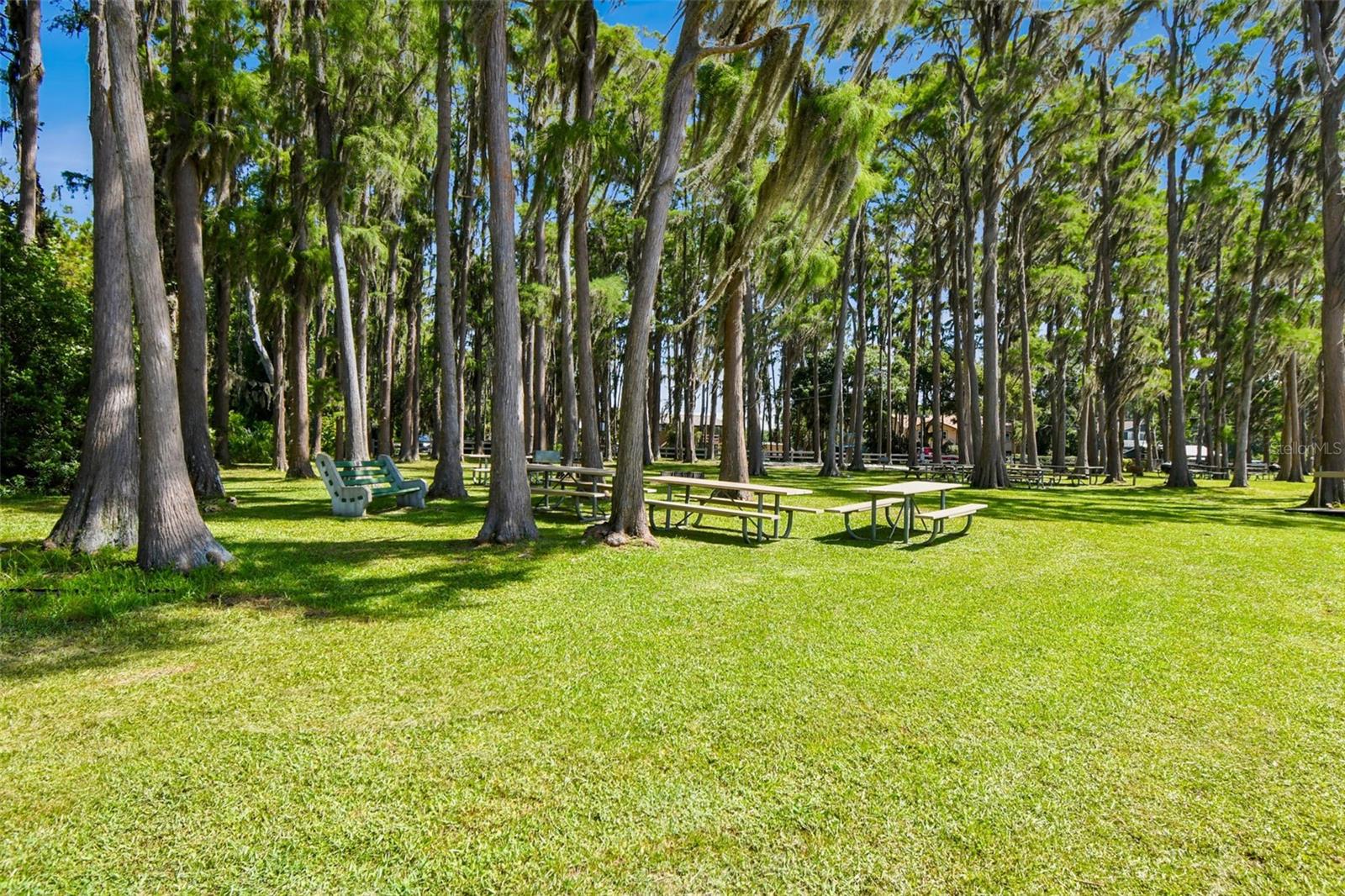 Image 58 of 73 For 13901 Vacation Lane