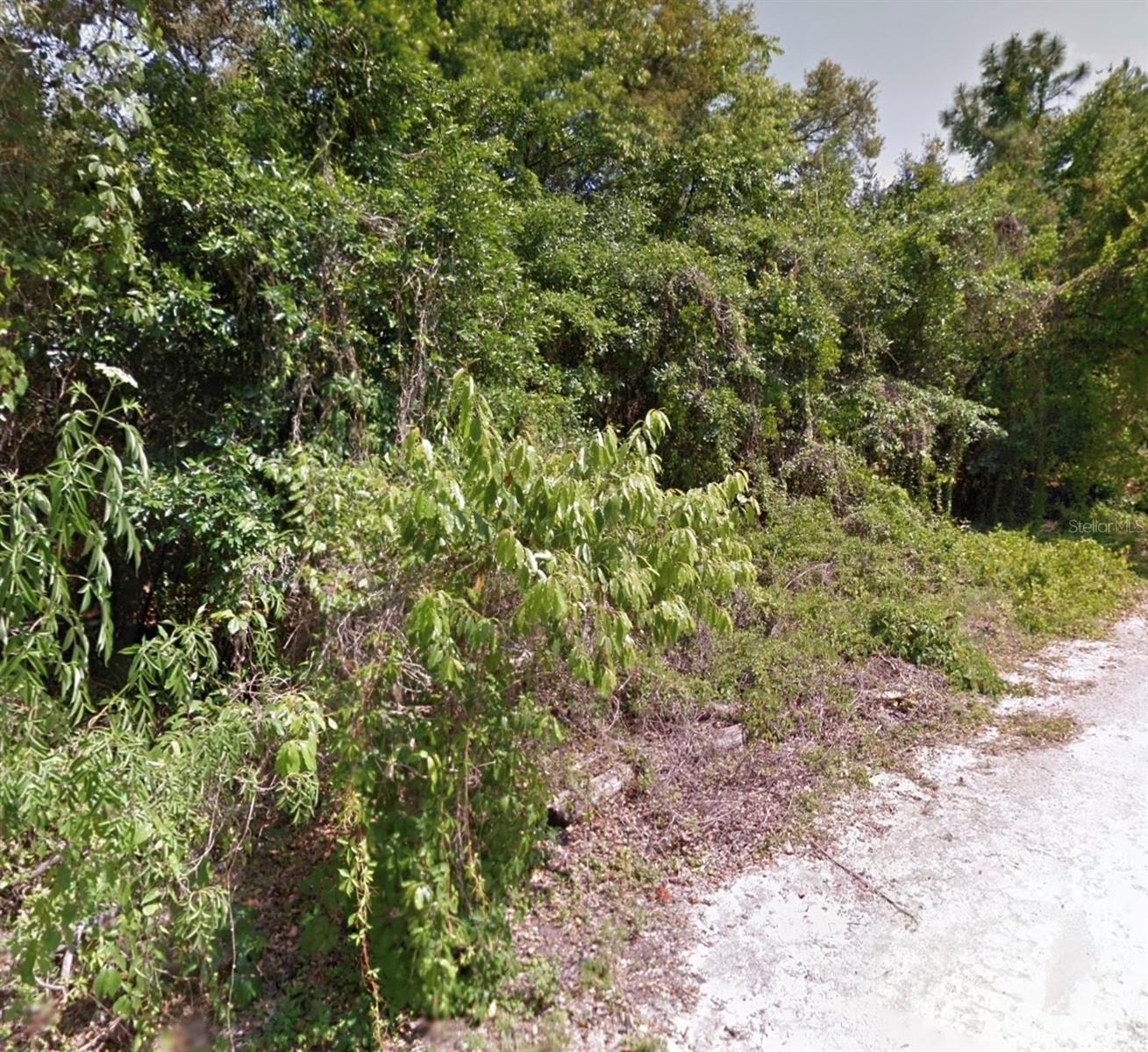 Listing photo id 0 for 000 Gilmer Street