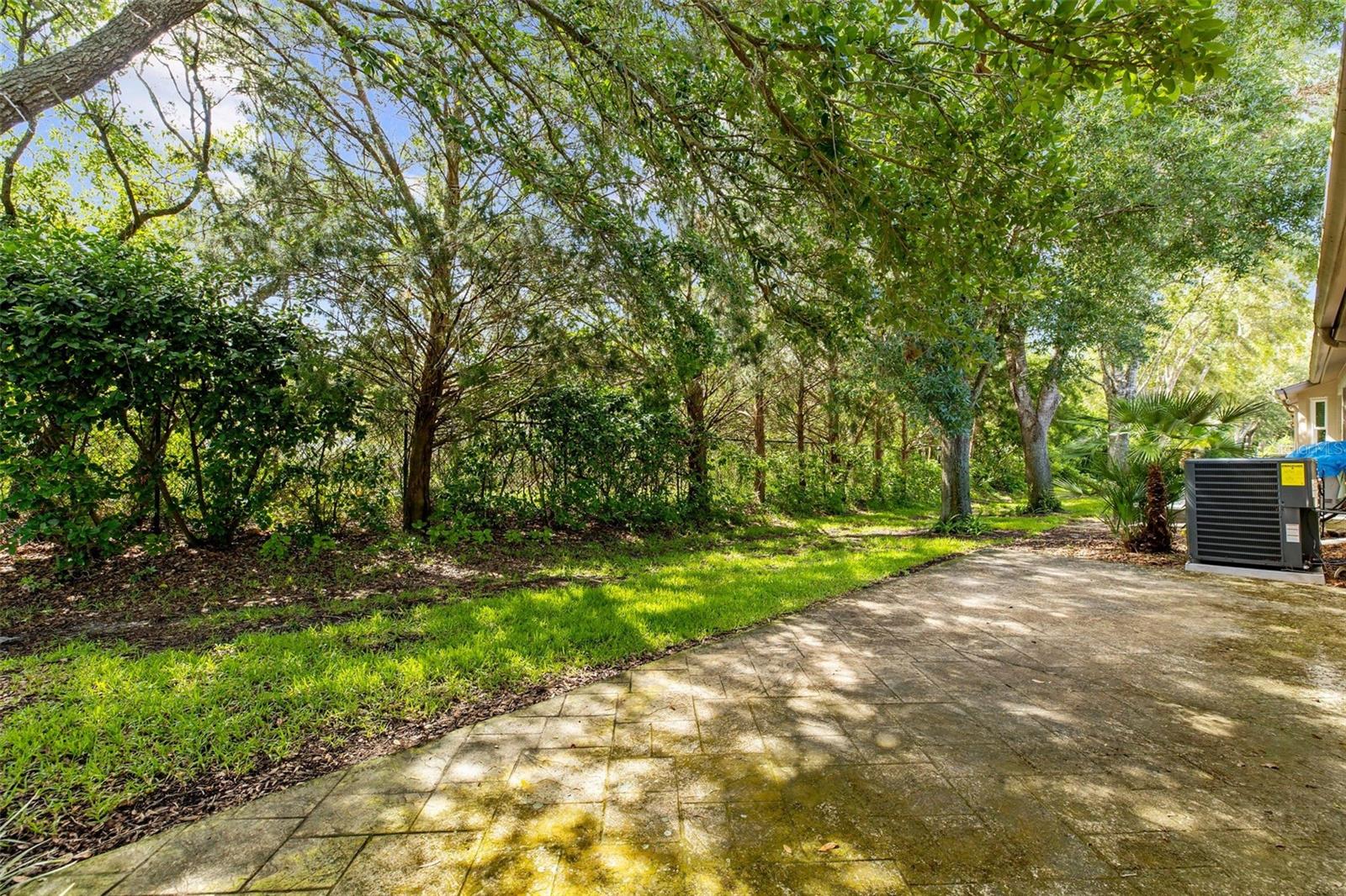Image 6 of 50 For 18736 Bent Pine Drive