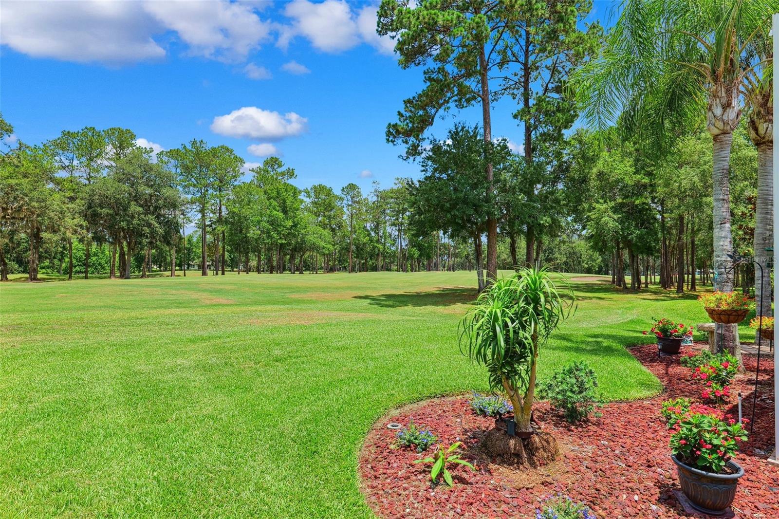 Image 36 of 47 For 5121 Delacroix Drive