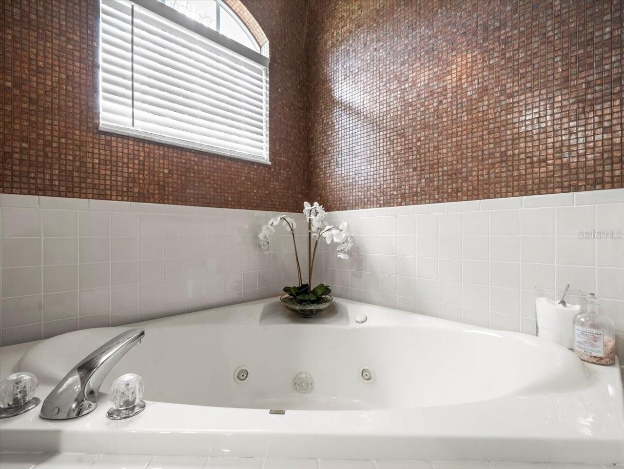 Image 39 of 72 For 12060 Sapphire Drive