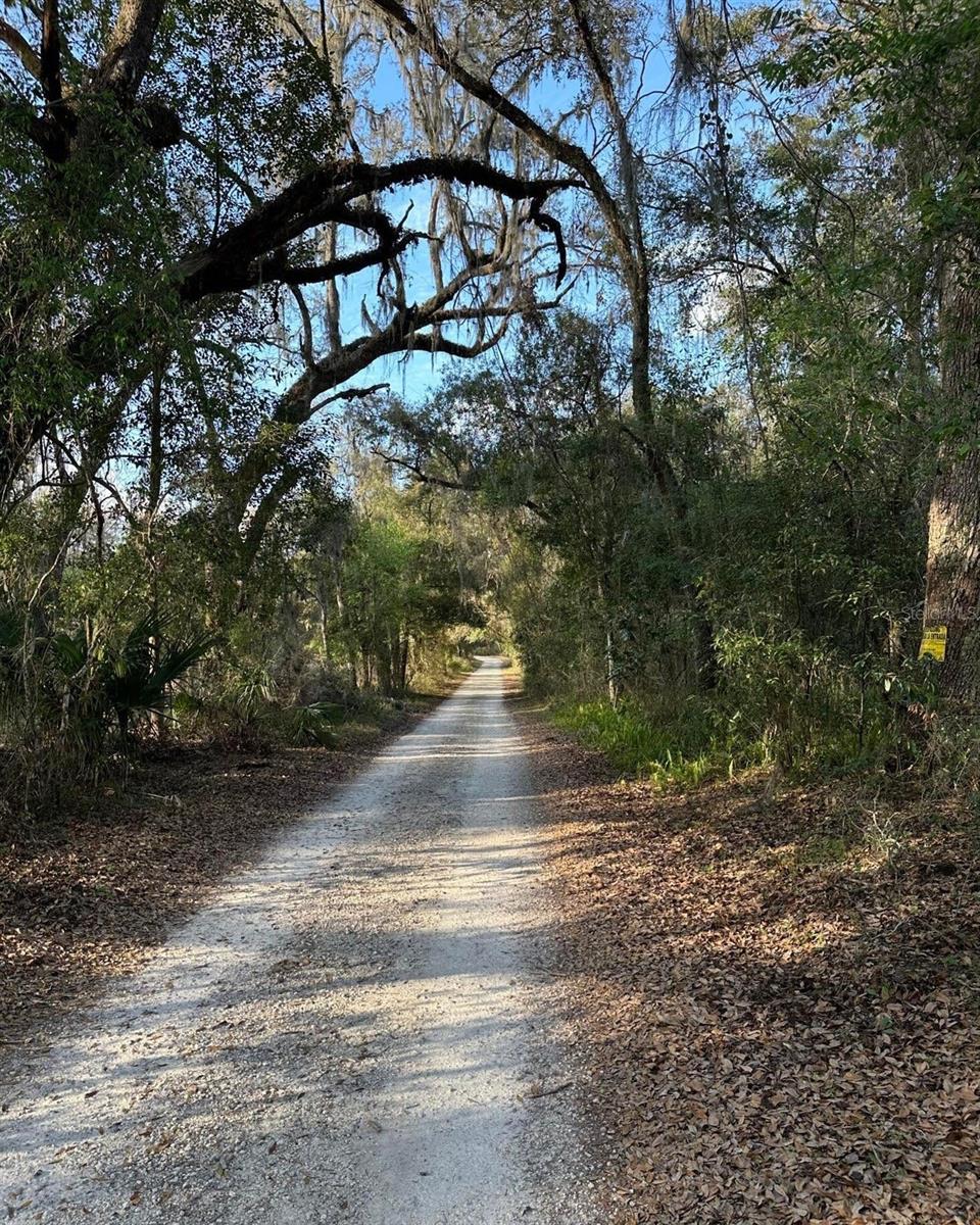 Image 3 of 3 For Lucilles Shady Lane