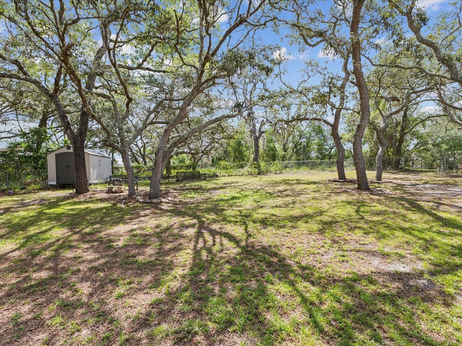 Image 44 of 44 For 2404 Knoll Drive