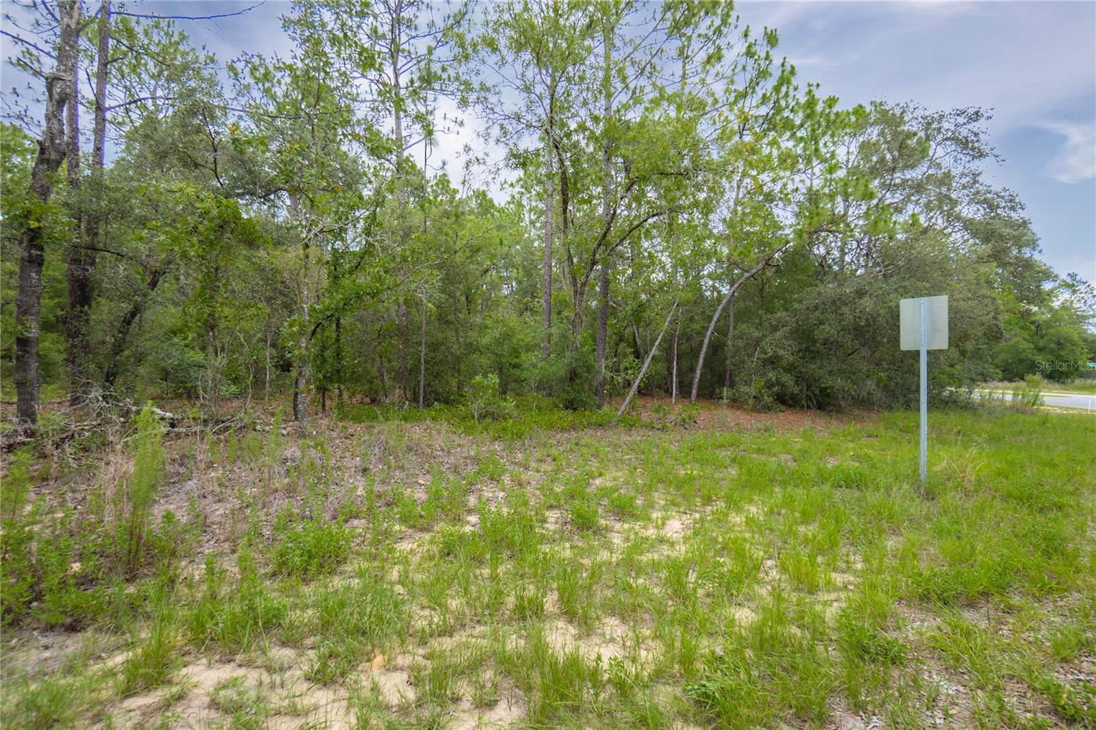 Image 4 of 24 For 1287 Evergreen Drive