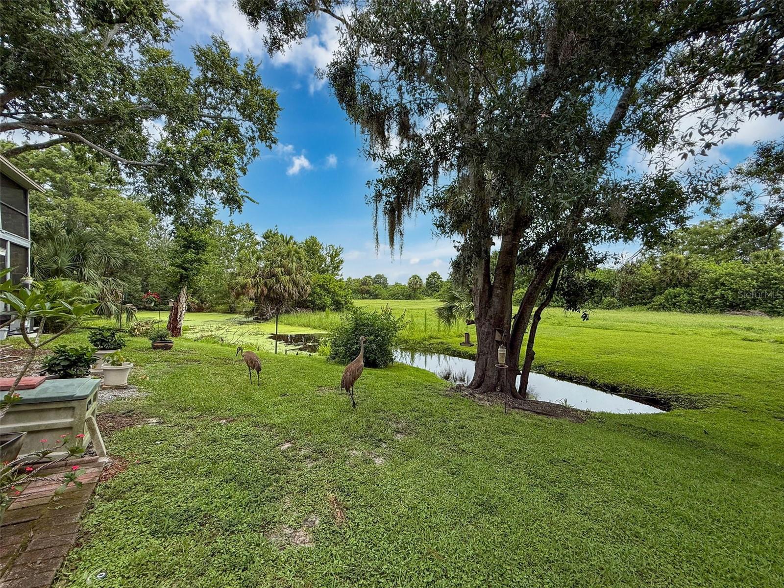 Image 43 of 50 For 7135 Trenton Place