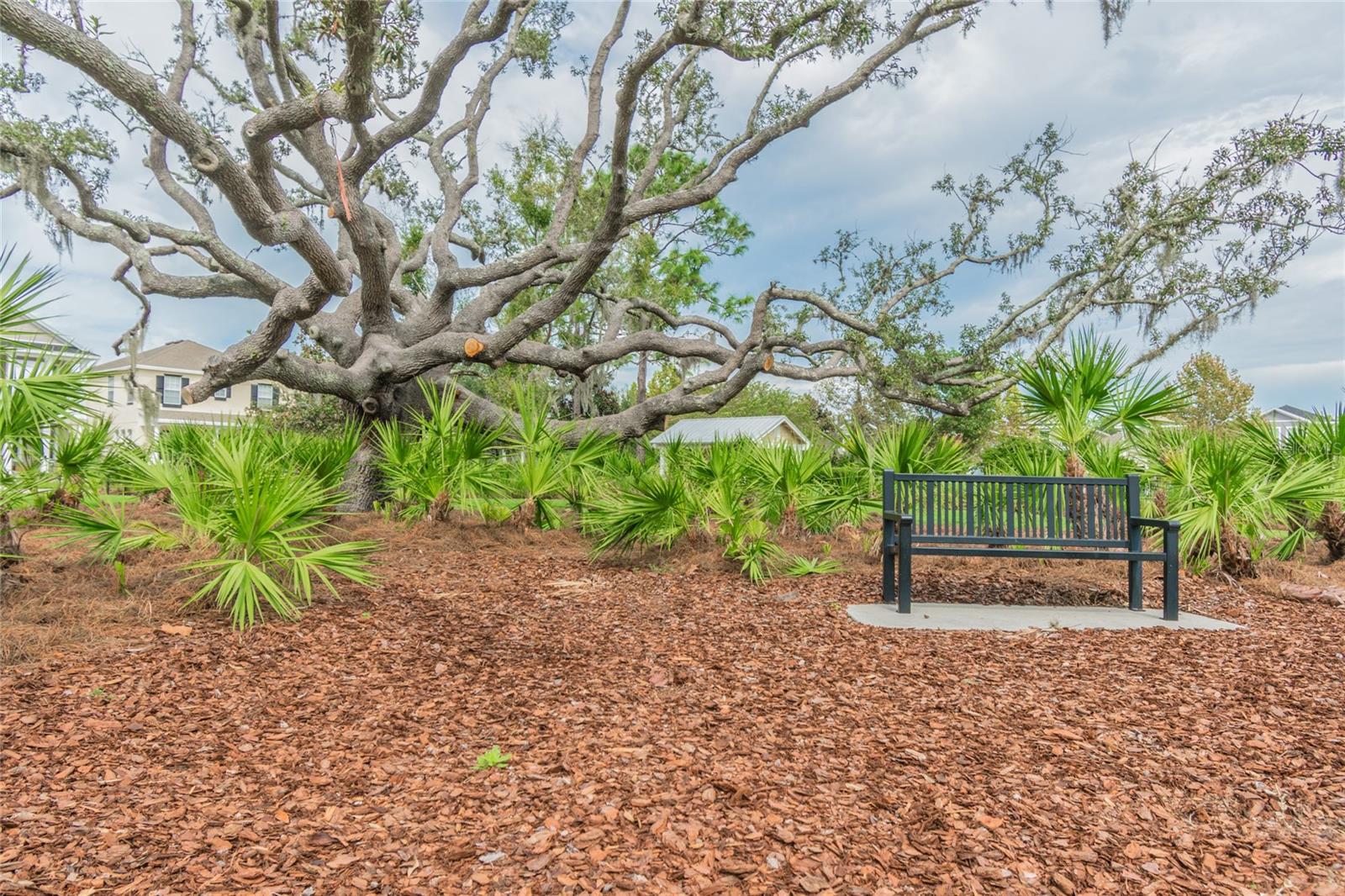 Listing photo id 42 for 3450 Ferrell Street
