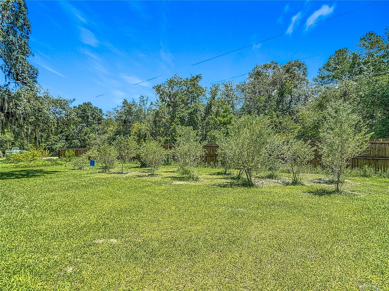 Image 50 of 62 For 9801 Upland Drive