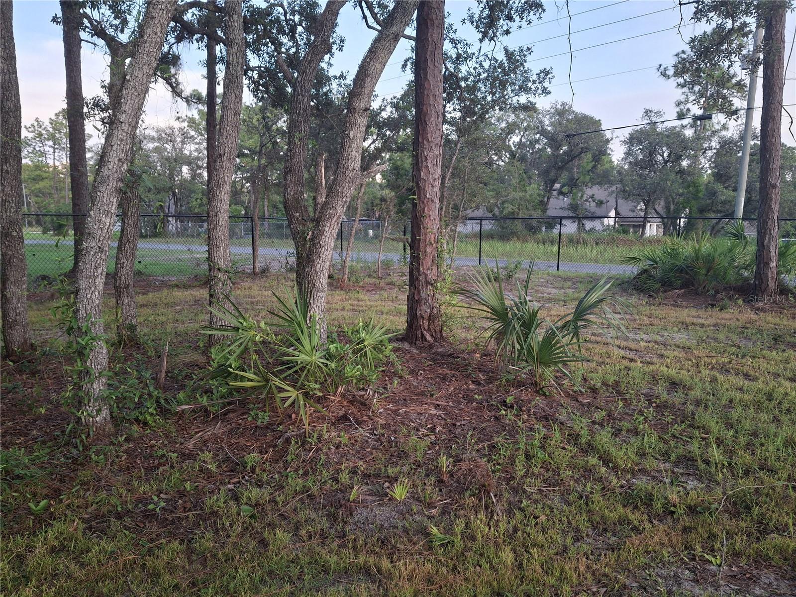 Image 8 of 13 For 11465 Thrasher Avenue
