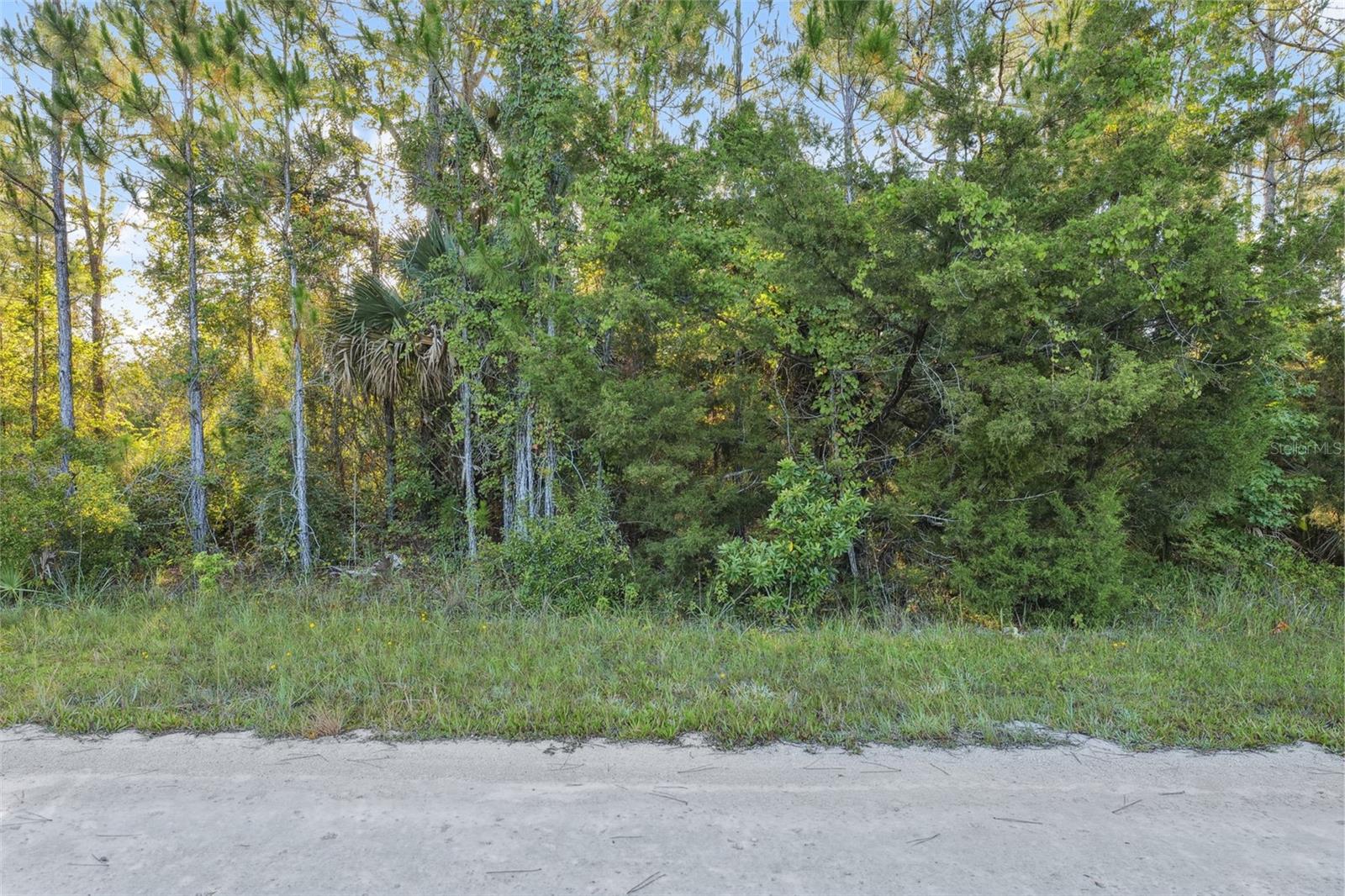 Image 13 of 27 For 0 Yellowthroat Avenue