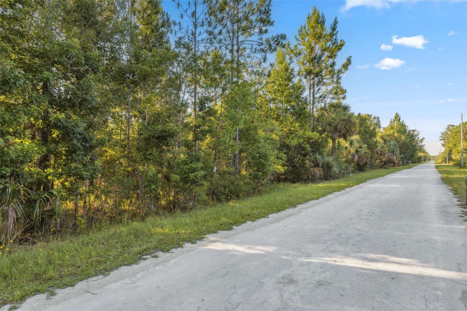 Image 17 of 27 For 0 Yellowthroat Avenue