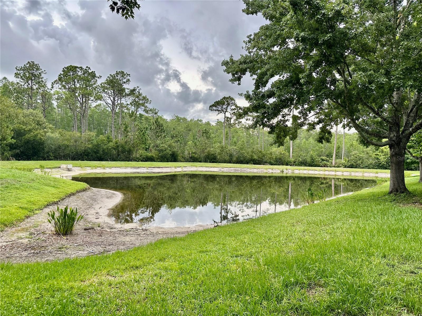 Image 55 of 70 For 12229 Luftburrow Lane