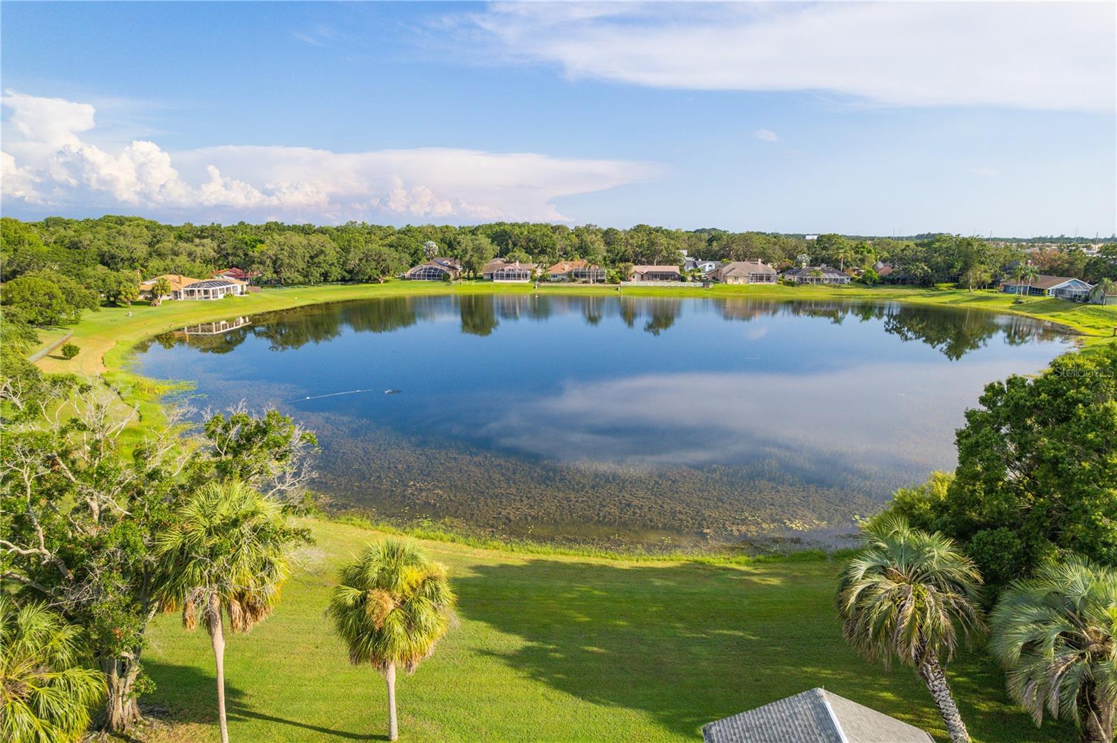 Image 9 of 48 For 8522 Cranes Roost Drive