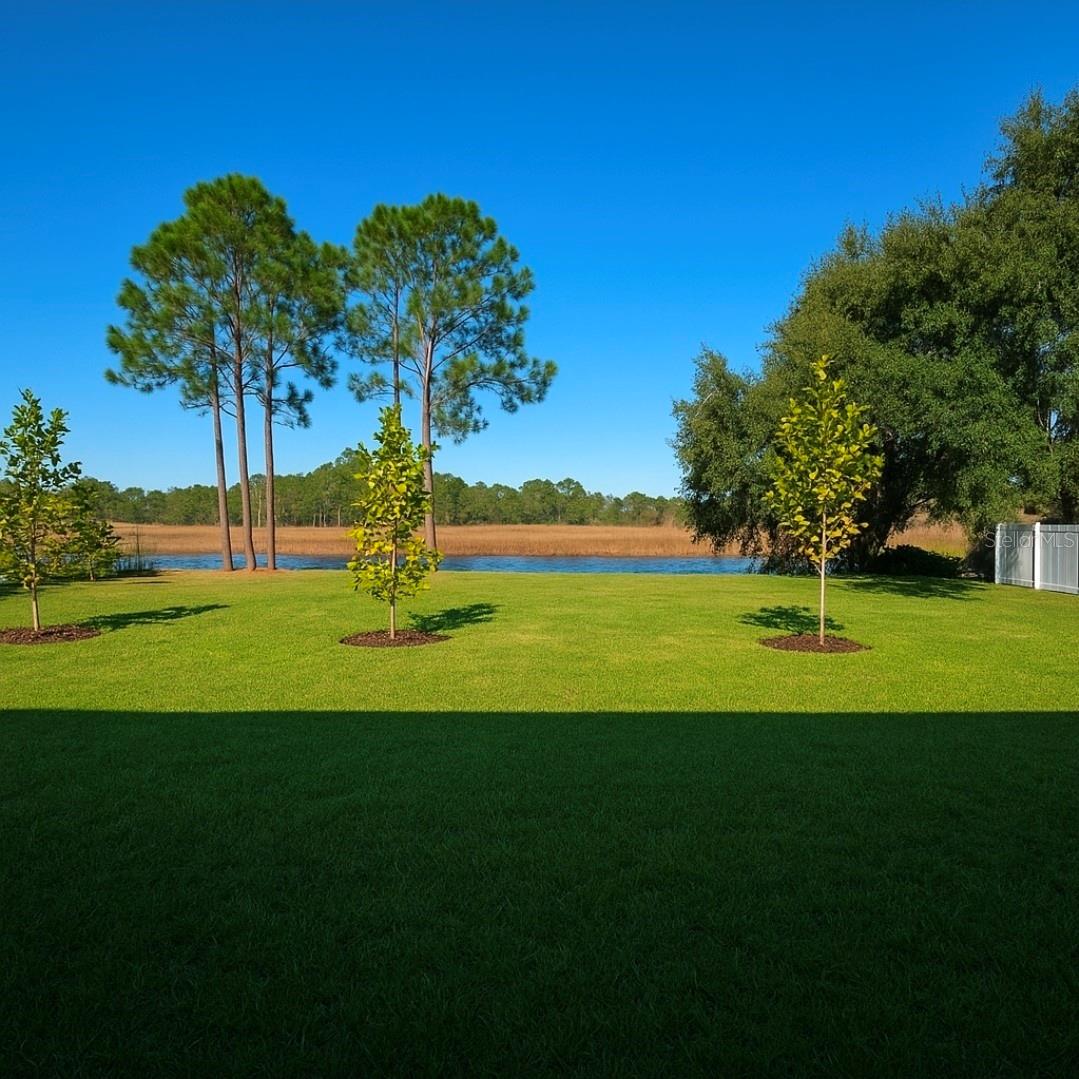 Image 37 of 39 For 5555 Baffin Circle