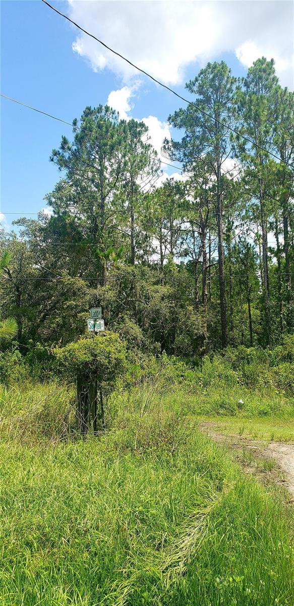 Image 4 of 9 For 0 Ladd Avenue