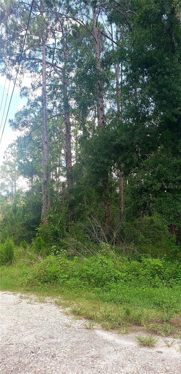 Image 6 of 9 For 0 Ladd Avenue