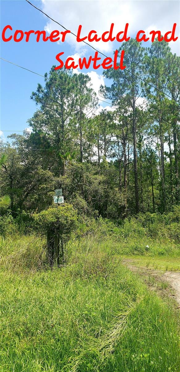 Image 4 of 10 For Tbd Ladd Ave