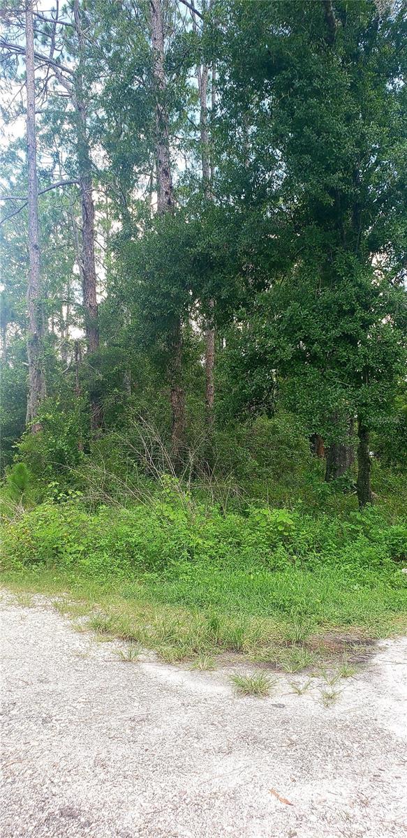 Image 5 of 10 For Tbd Ladd Ave
