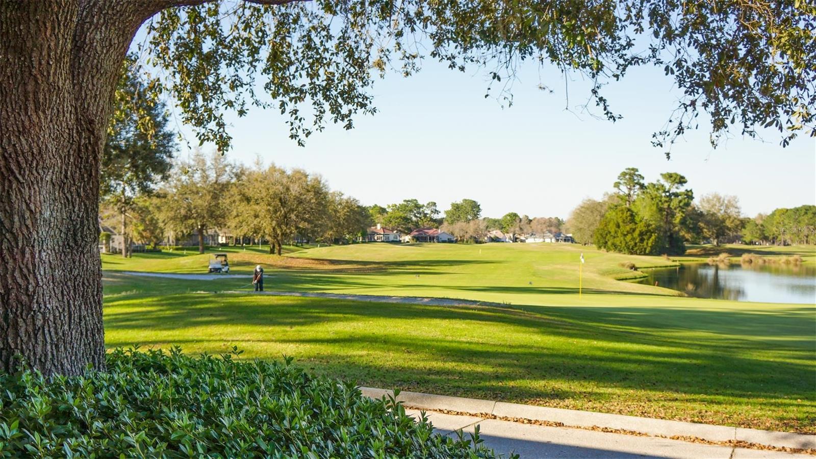 Listing photo id 50 for 15004 Middle Fairway Drive