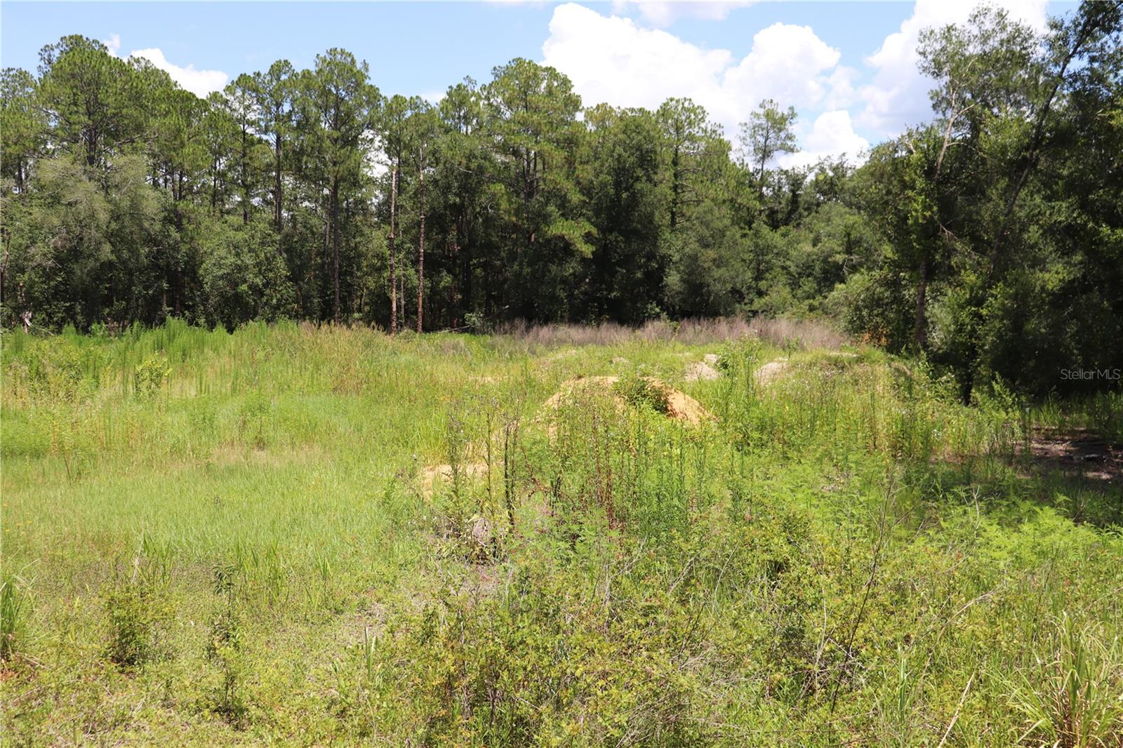 Details for 0 Bedstone Drive, WEBSTER, FL 33597