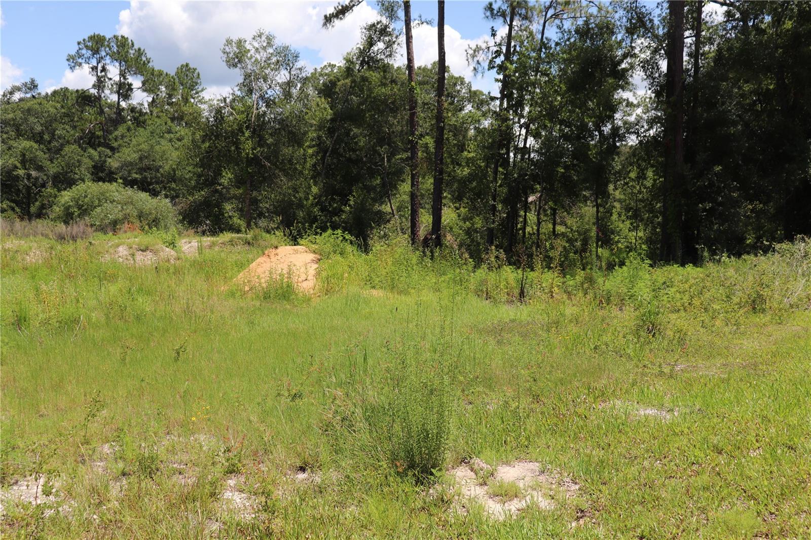 Image 2 of 7 For 0 Bedstone Drive