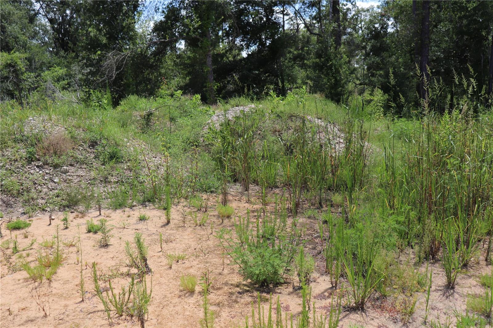 Image 6 of 7 For 0 Bedstone Drive