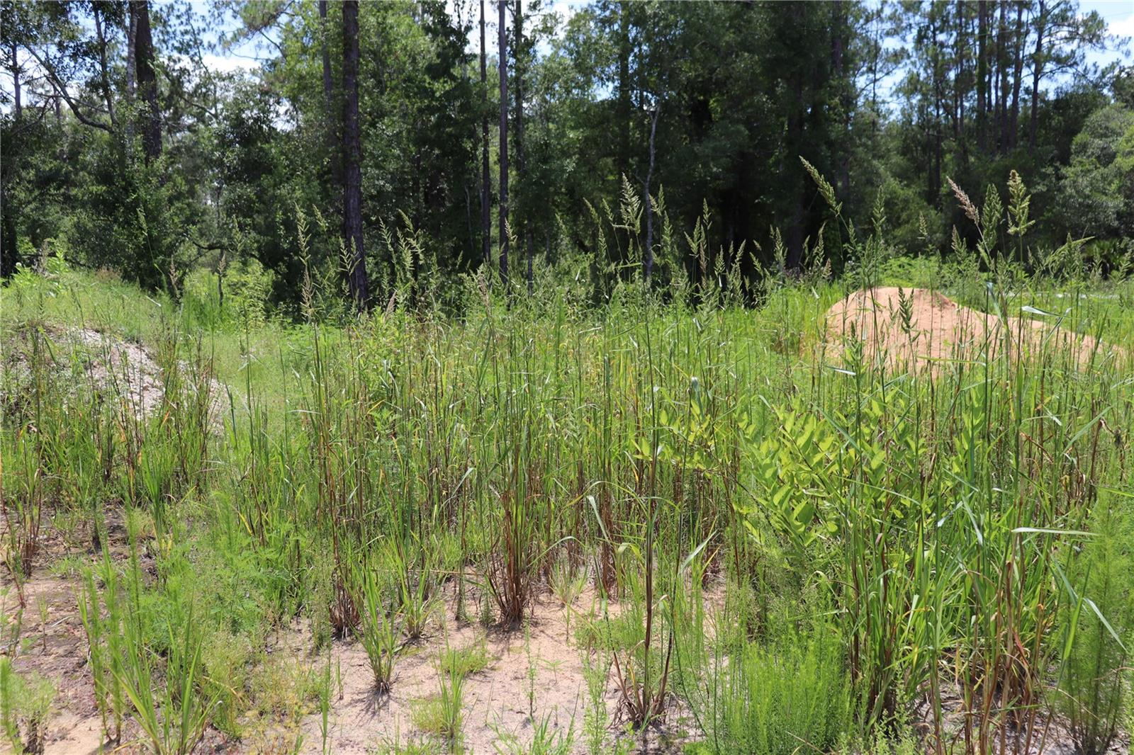 Image 7 of 7 For 0 Bedstone Drive