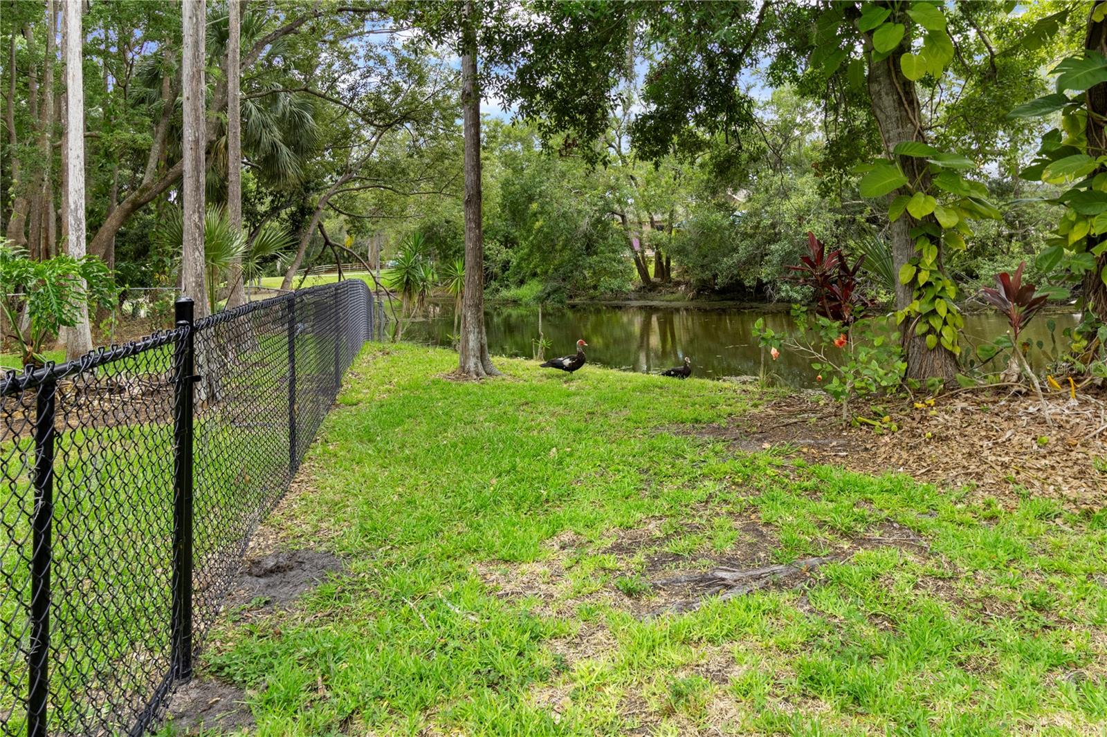 Listing photo id 50 for 2202 Amity Court