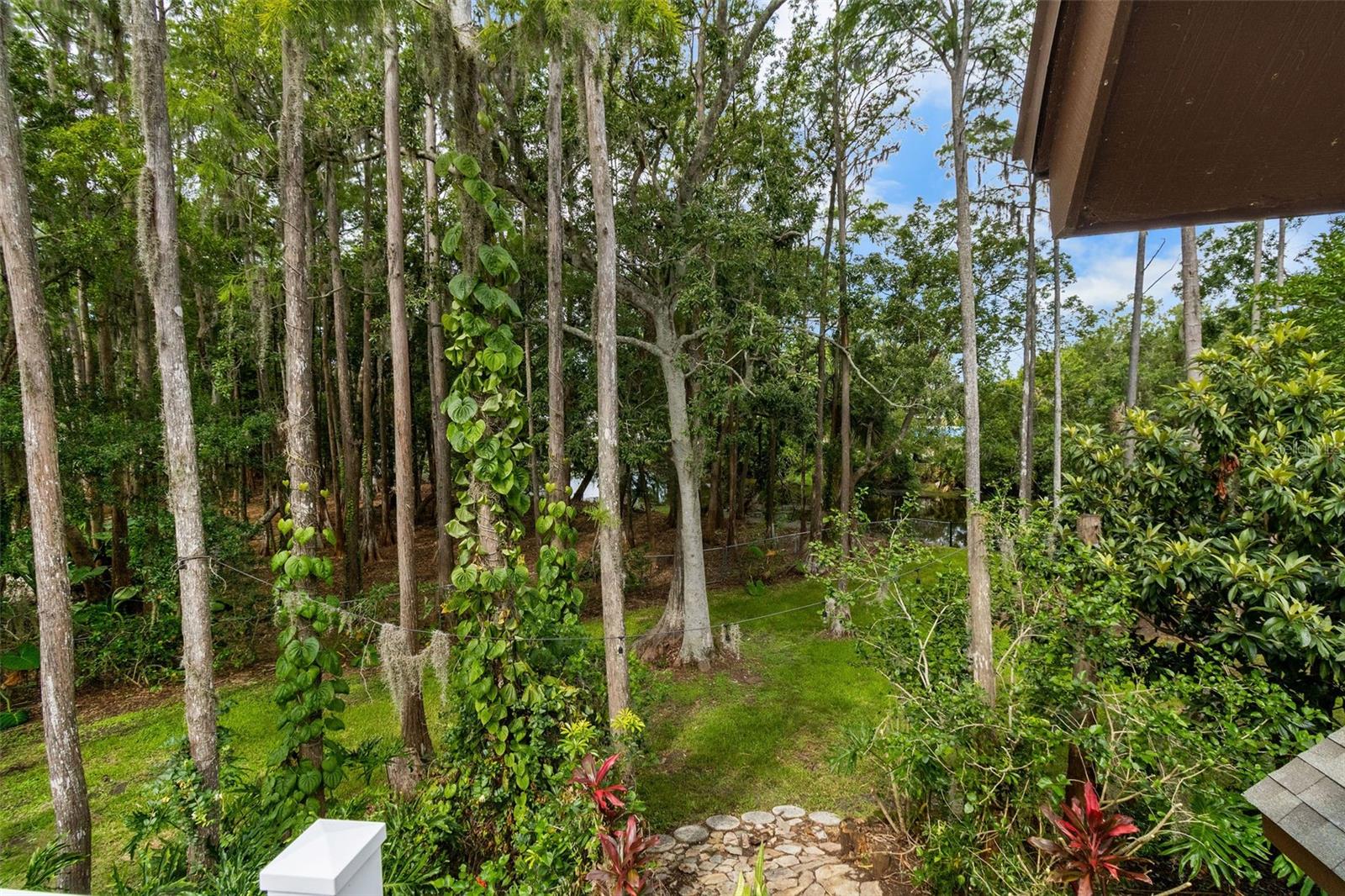 Listing photo id 56 for 2202 Amity Court