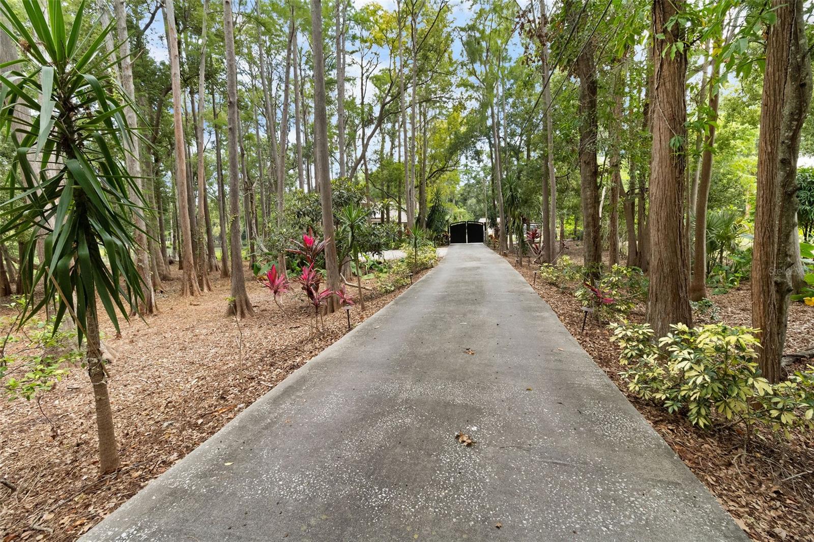 Listing photo id 64 for 2202 Amity Court