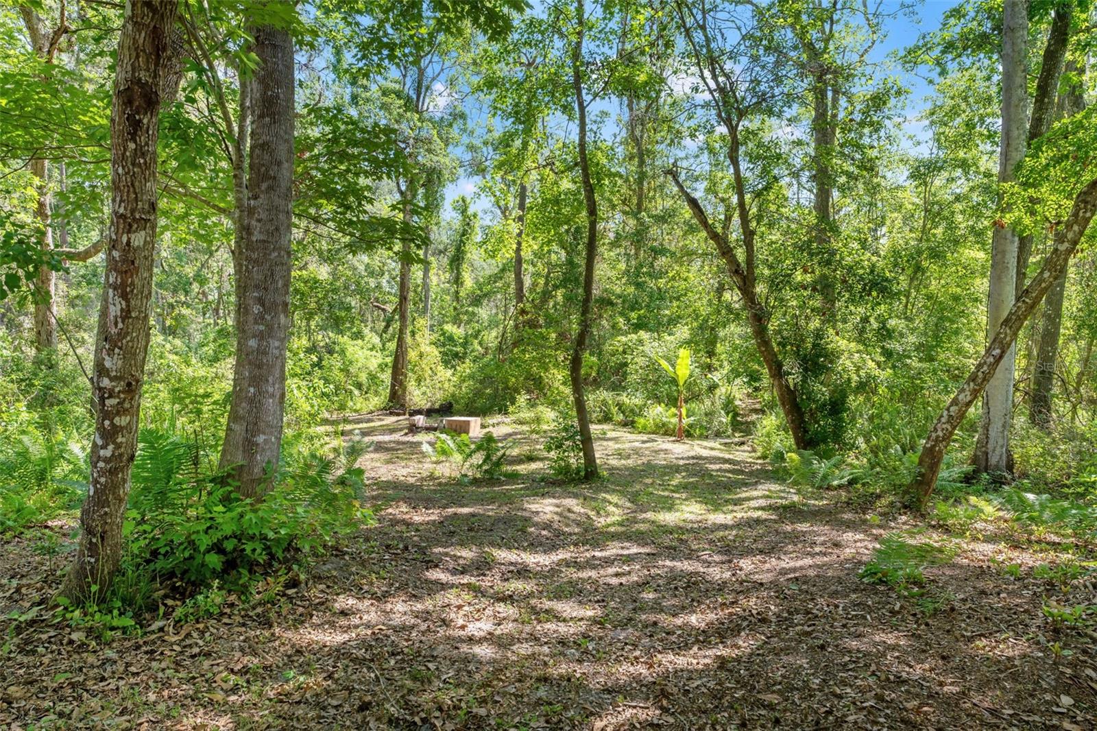 Image 73 of 81 For 25487 Dan Brown Hill Road