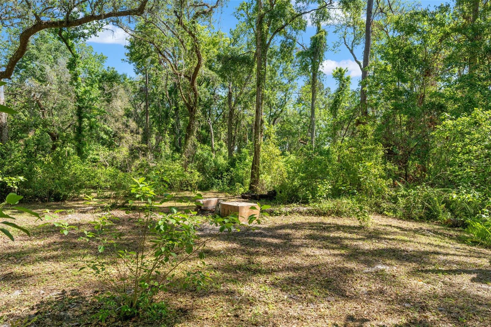 Image 74 of 81 For 25487 Dan Brown Hill Road
