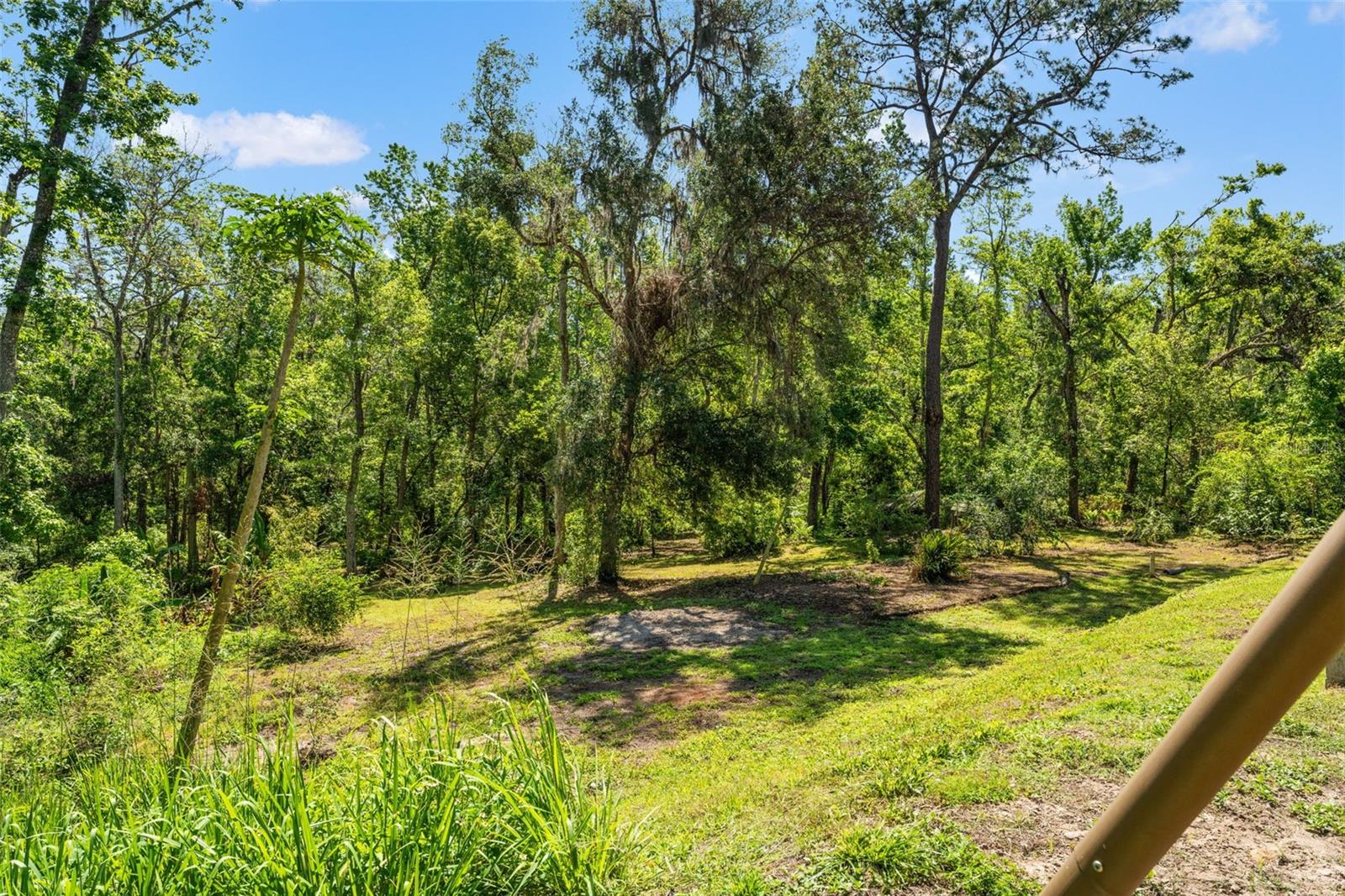 Image 76 of 81 For 25487 Dan Brown Hill Road