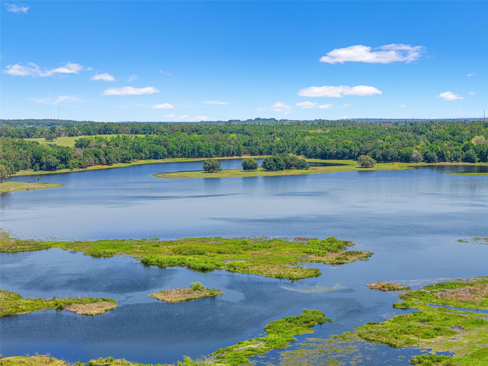 Image 79 of 81 For 25487 Dan Brown Hill Road