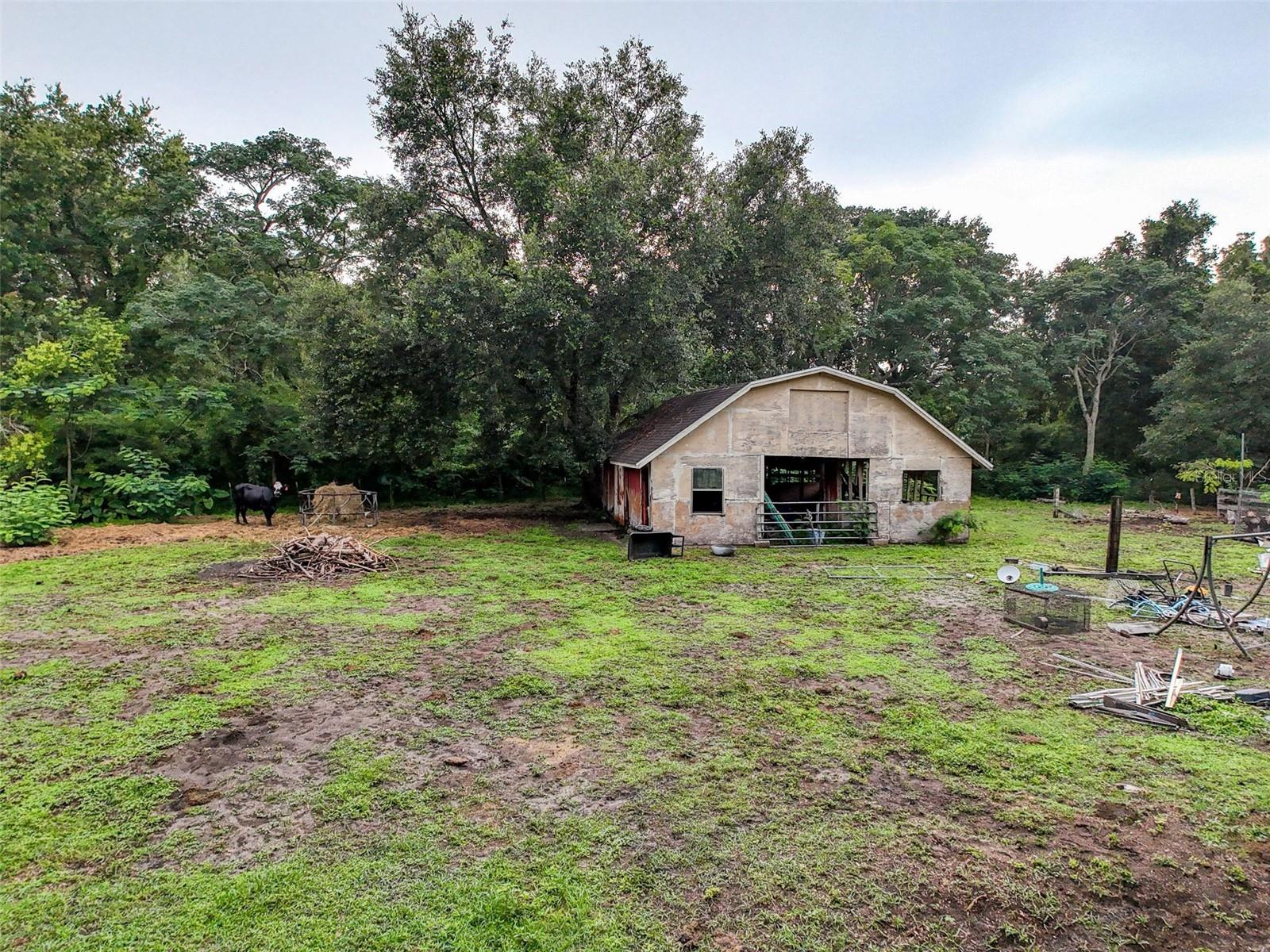 Image 19 of 22 For 12445 Hamlin Road