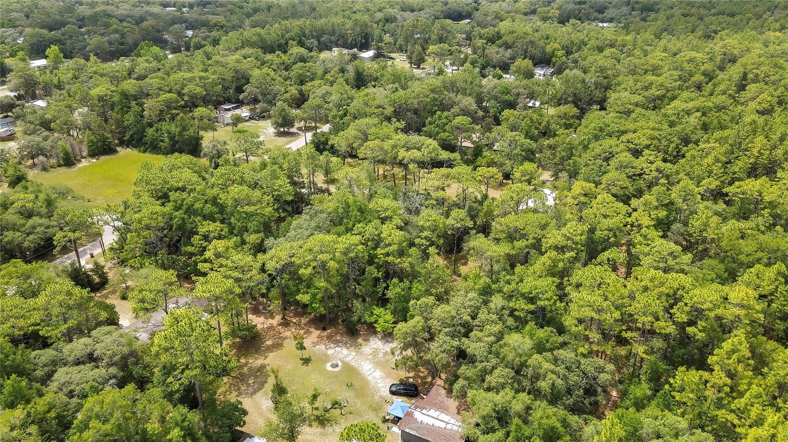 Listing photo id 5 for 1672 Colonial Avenue