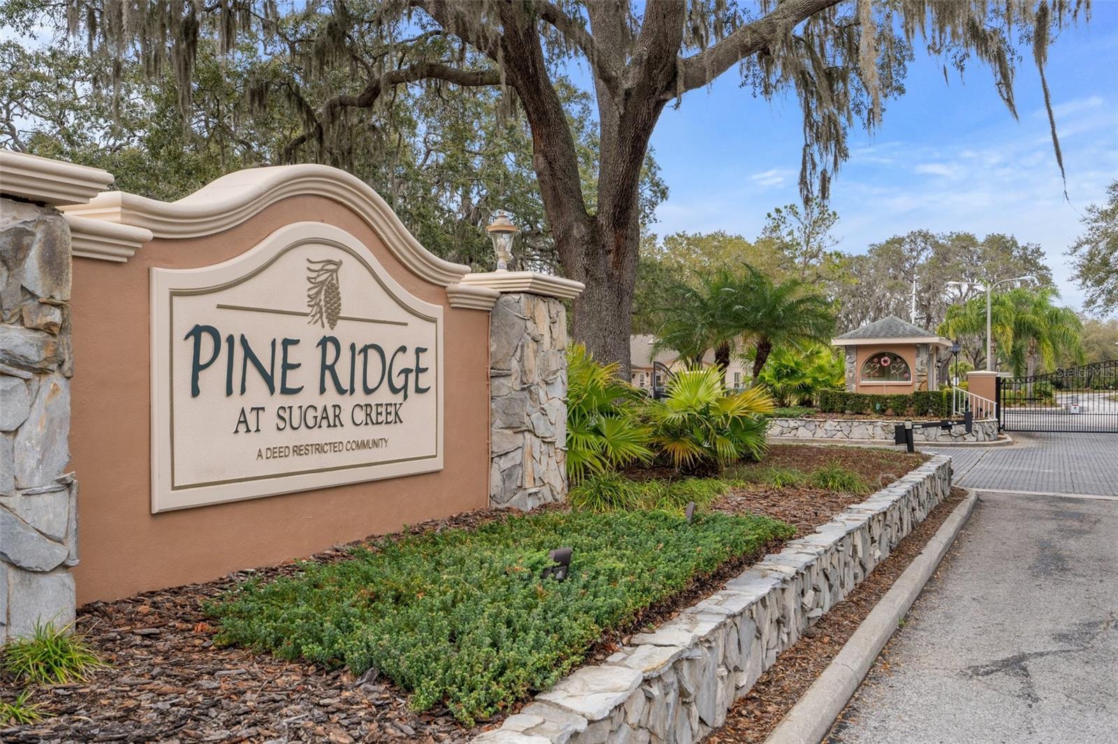 Image 4 of 56 For 13134 Cypress Hill Drive