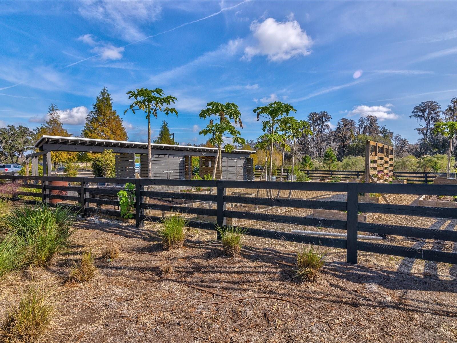 Listing photo id 66 for 3897 Villamore Lane