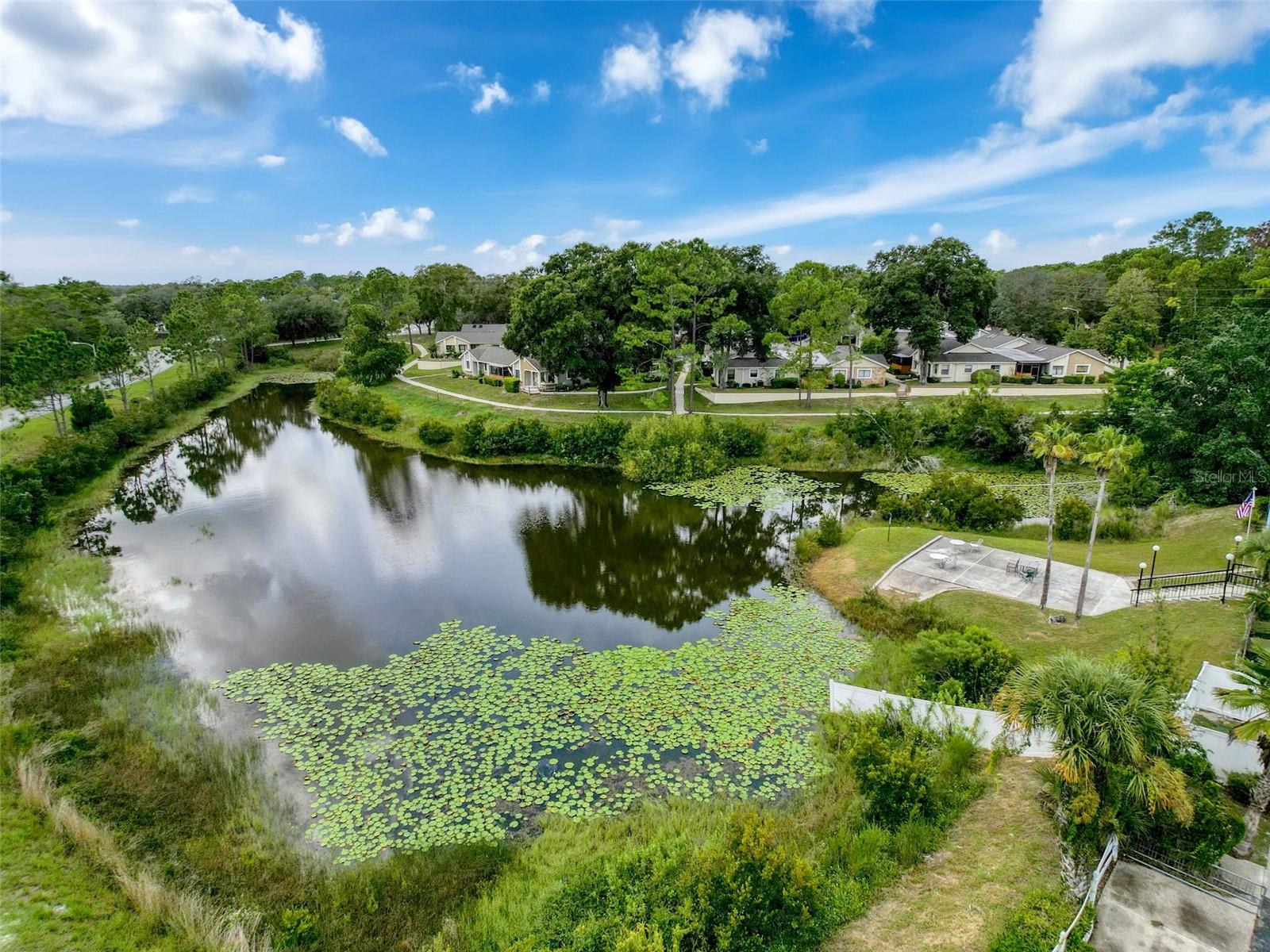 Image 50 of 60 For 9474 Nakoma Way E