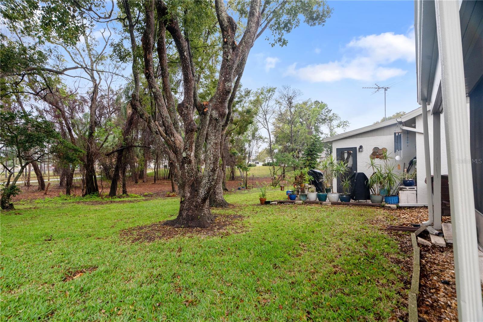 Listing photo id 22 for 11725 Spring Tree Lane