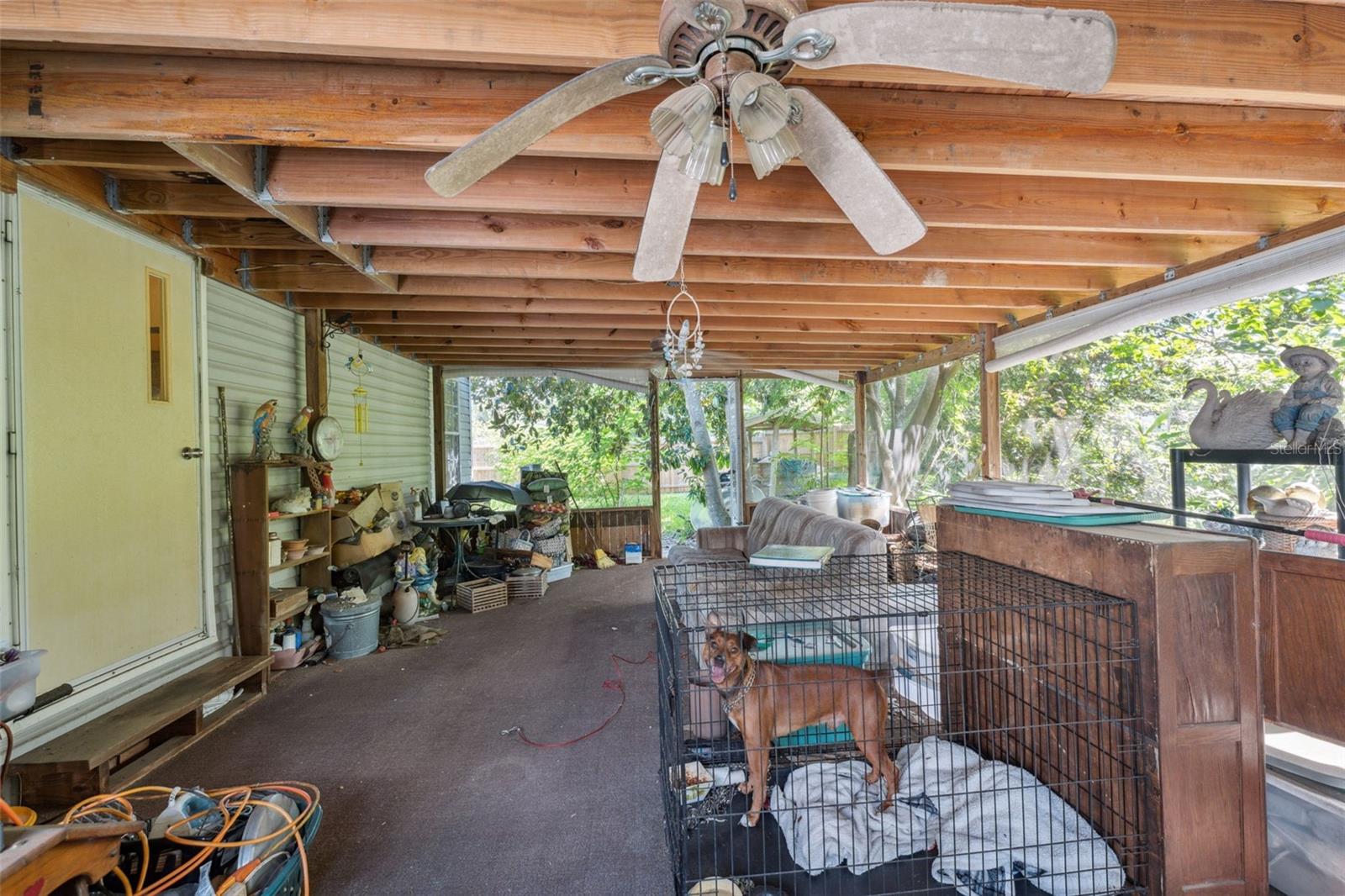Listing photo id 25 for 9850 Appaloosa Avenue