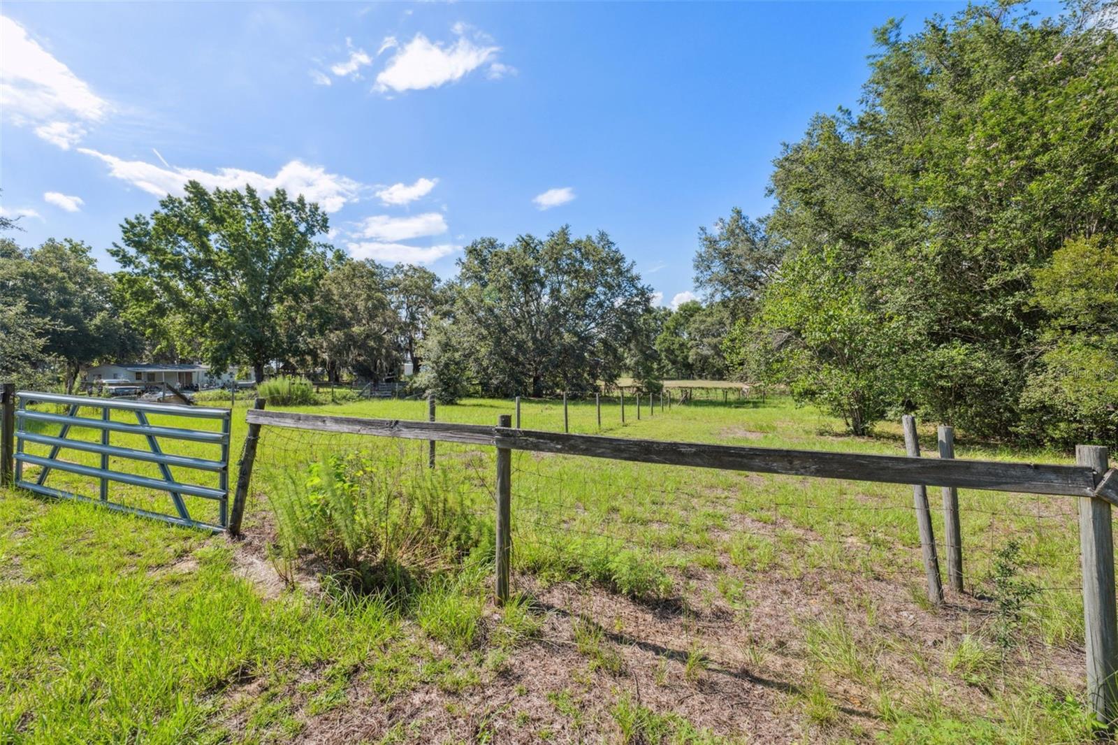 Listing photo id 29 for 9850 Appaloosa Avenue