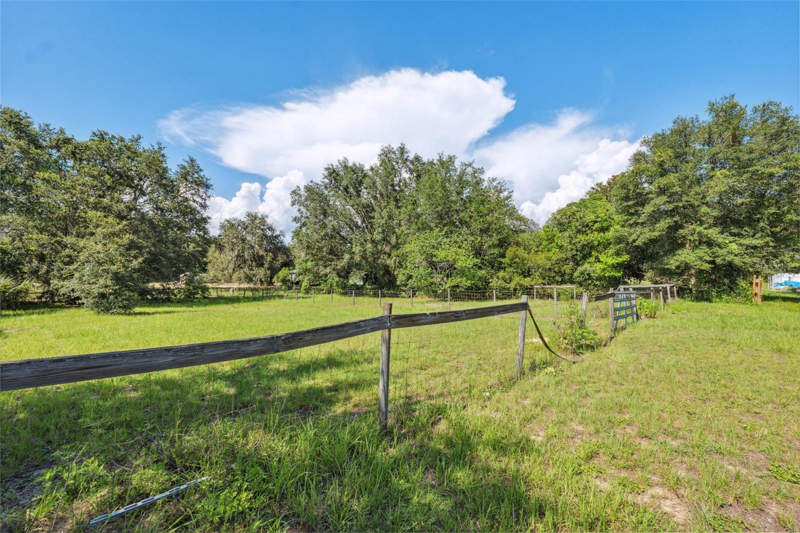 Listing photo id 30 for 9850 Appaloosa Avenue