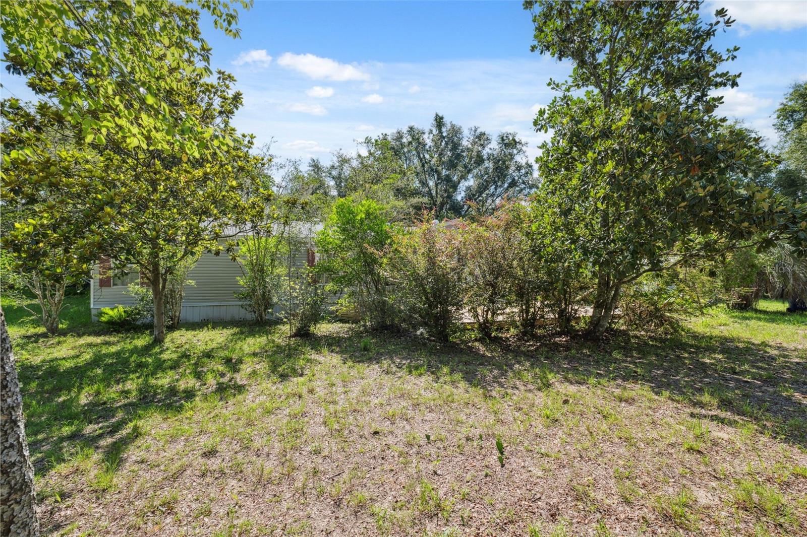 Listing photo id 32 for 9850 Appaloosa Avenue