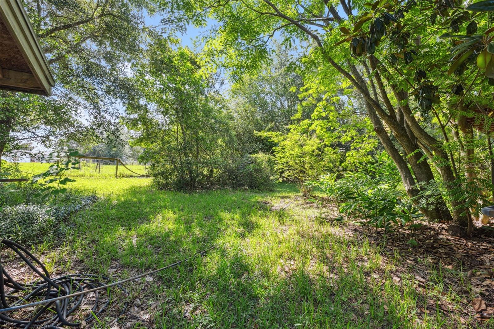 Listing photo id 37 for 9850 Appaloosa Avenue